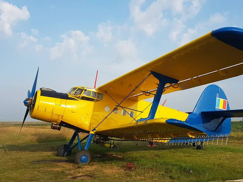 Primăria Giurgiu va demara o nouă acțiune de dezinsecție aeriană