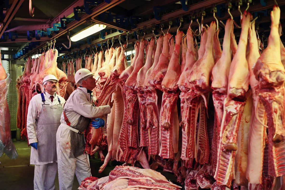 Retailerii profită de pesta porcină și măresc importurile de carne
