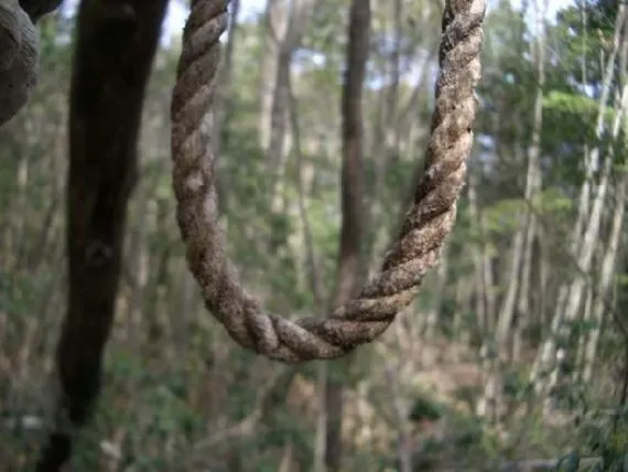 Tragedie! Un giurgiuvean a fost găsit spânzurat