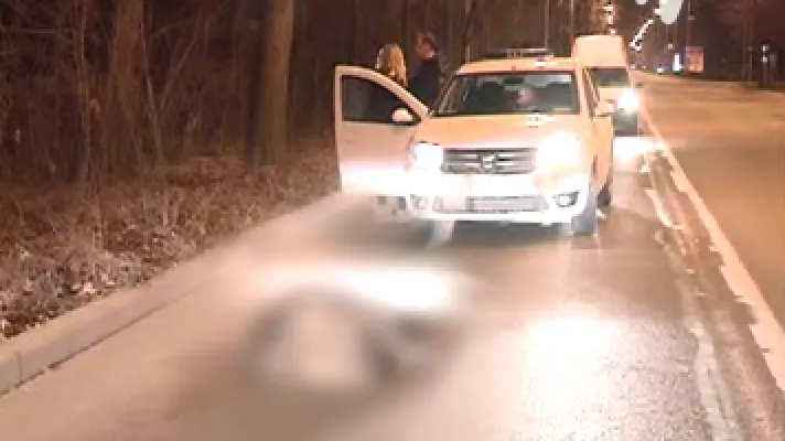 Accident neobişnuit. Un porc mistreţ a fost lovit de un autoturism, în Giurgiu