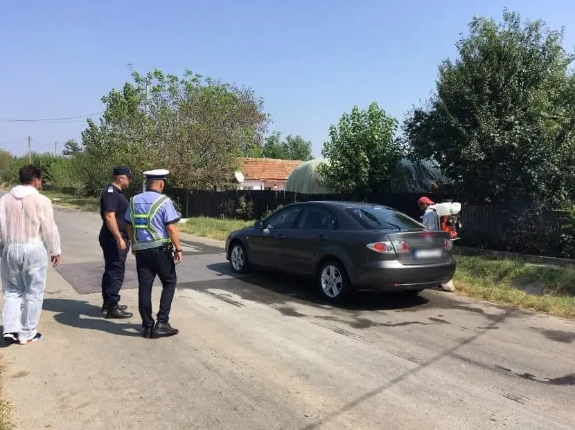 Alertă!Se intensifică controalele la transporturile de porci, înainte de Sărbători   