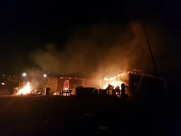 Animale moarte în urma unui incendiu, la Mihăilești. O femeie a făcut infarct de supărare și a murit