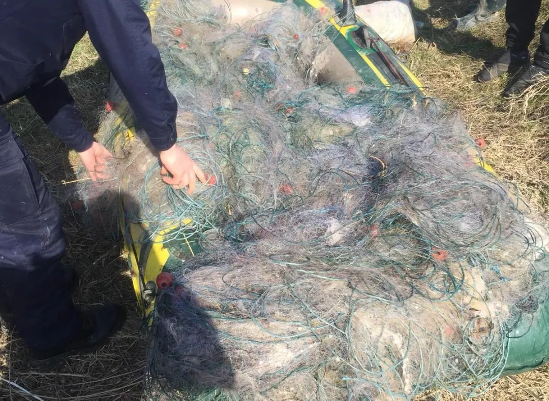 Jandamii asigură ordinea publică la meciul dintre Astra Giurgiu- Dunărea Călărași