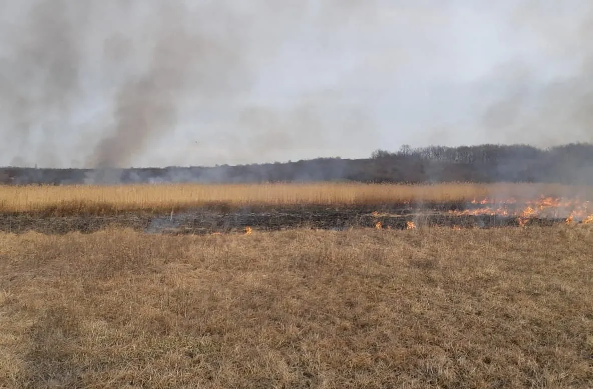 Stop incendiilor de vegetație uscată! Pompierii giurgiuveni avertizează!