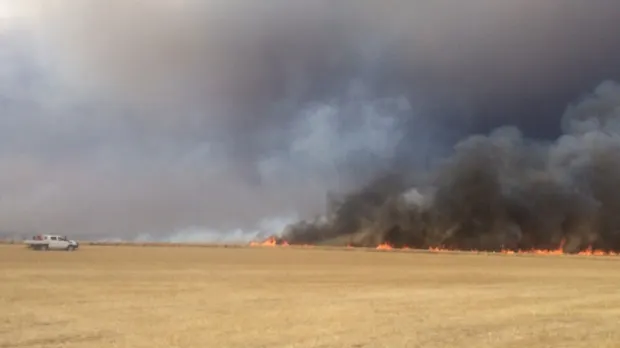 Incendiu pe Autostrada 1. Au ars zeci de hectare de vegetație uscată