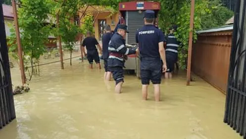 Curți inundate și copaci căzuți pe carosabil în urma ploii torențiale