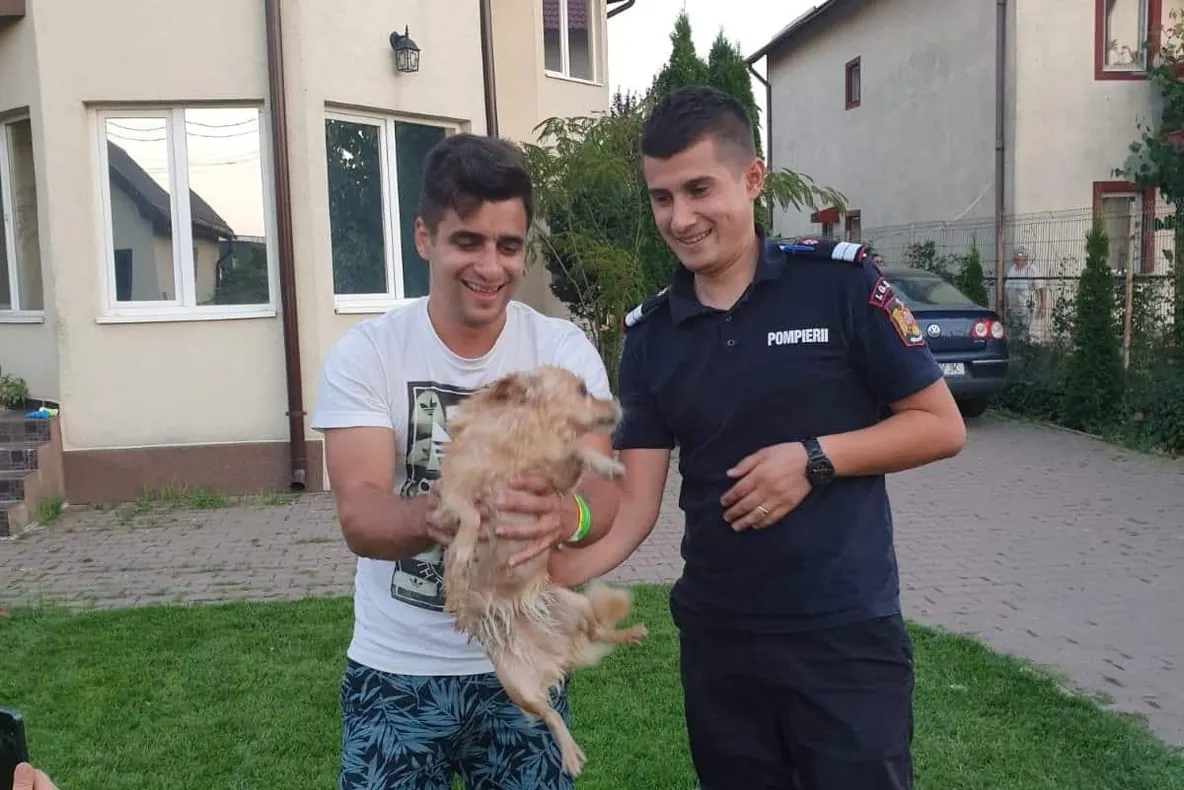 Cățel căzut într-o fosă septică, salvat de pompieri