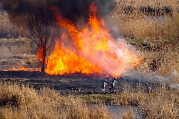 Giurgiuvean ars de viu într-un incendiu de vegetație uscată