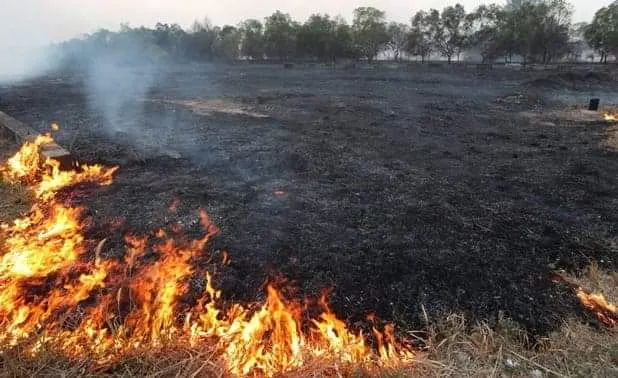 Cetățean din județul Giurgiu, sancționat pentru arderea necontrolată a vegetației uscate