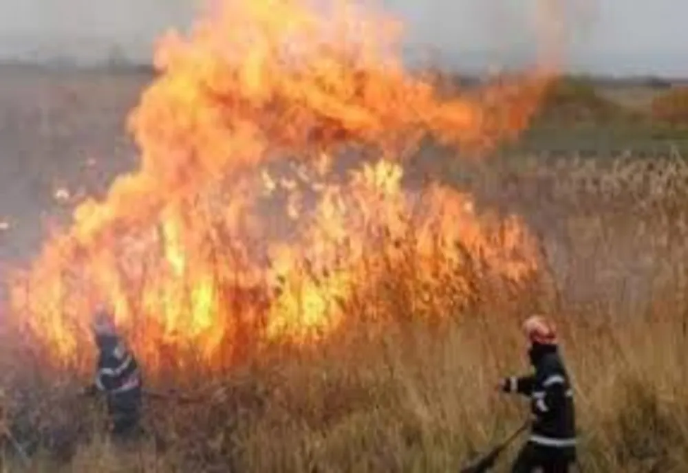 Incendii de vegetație uscată unul după altul, provocate de giurgiuveni
