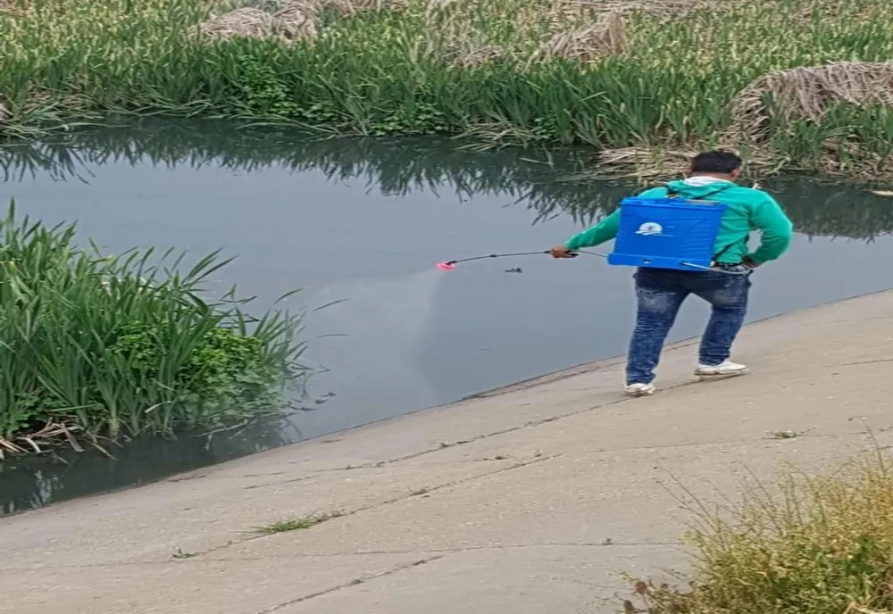Dezinsecție și pe luciul de apă, la Giurgiu. Unde au loc acțiunile de combatere a țânțarilor