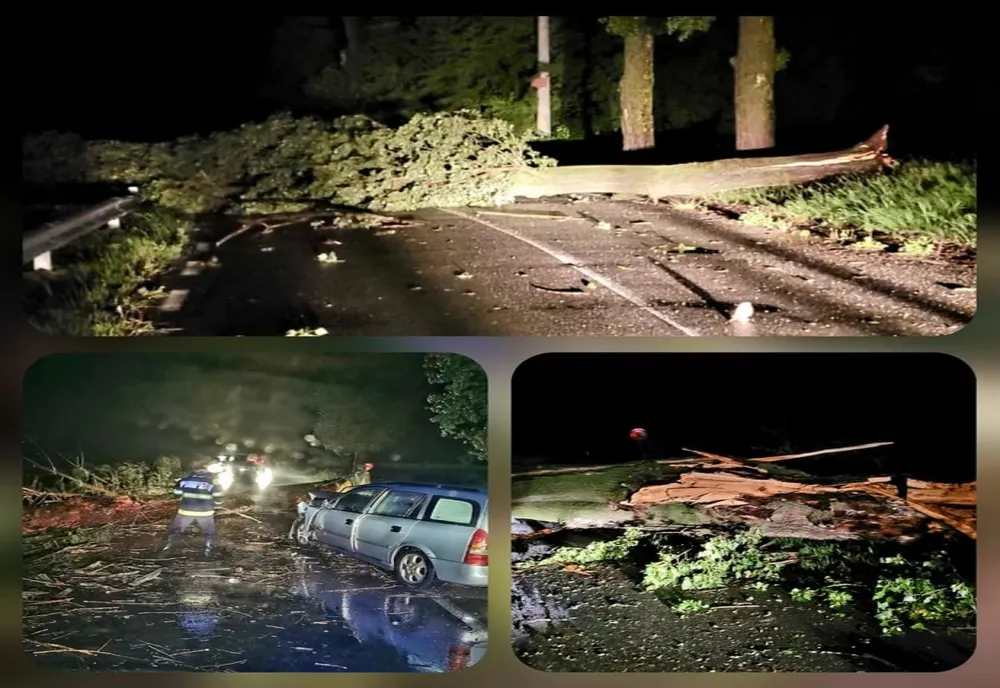 Mamă și fiică, rănite după ce mașina în care se aflau a intrat într-un copac căzut pe carosabil