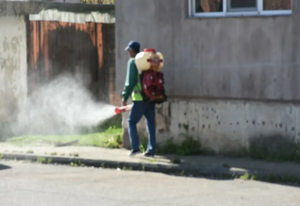 Giurgiu. Acţiuni de dezinsecţie la subsolurile blocurilor. Ce recomandă autorităţile