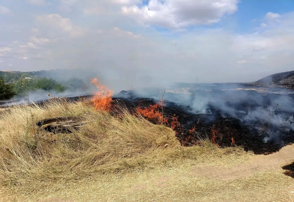 Giurgiu. Cinci incendii de vegetaţie uscată, în weekend