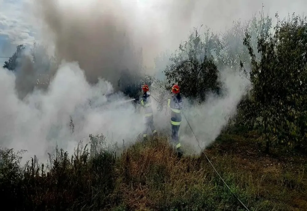 Foc de vegetaţie uscată lăsat nesupravegheat într-o gospodărie din Podişor. Pompierii au intervenit de urgenţă