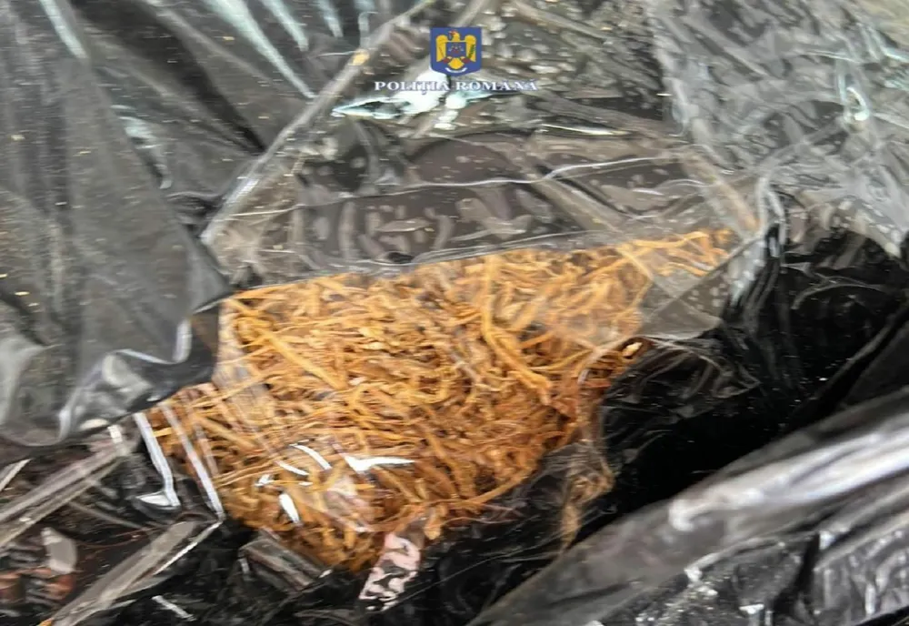 Giurgiu. Bărbaţi reţinuţi după ce au fost prinşi că transportau ilegal 100 de kilograme de tutun 
