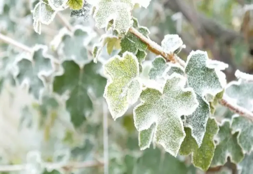 România, lovită de un ciclon polar: zonele unde temperaturile scad brusc sub pragul de îngheț. Cât ține vremea rea