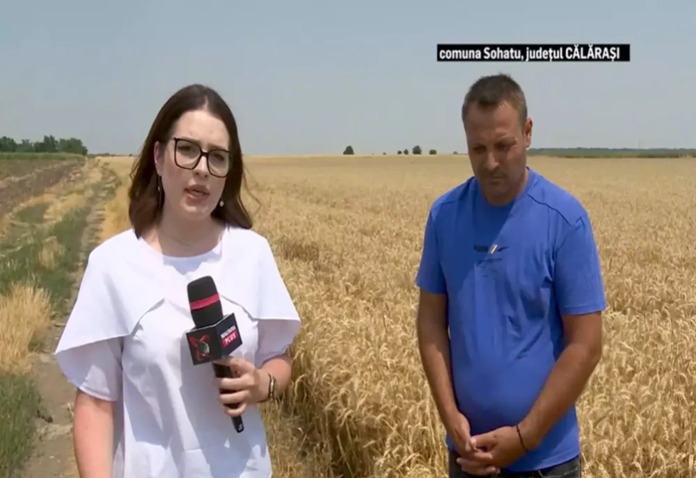 DISPERARE PE CÂMPURILE ROMÂNIEI. FERMIERII NU ÎȘI SCOT BANII INVESTIȚI DIN RECOLTE. ”SUNT PREȚURI CARE ERAU ACUM 10 AI. NE GĂSESC NOD ÎN PAPURĂ SĂ NU VINĂ SĂ IA MARFA”