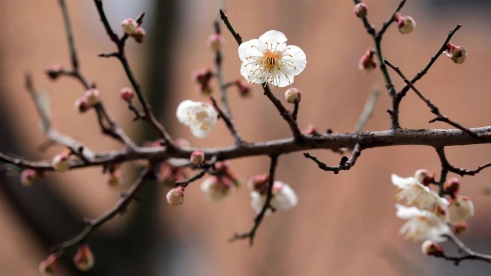 Prognoza meteo: Vreme mai caldă decât normalul perioadei în România