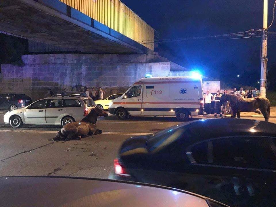 Accident groaznic la intrarea în Giurgiu, la pasarelă
