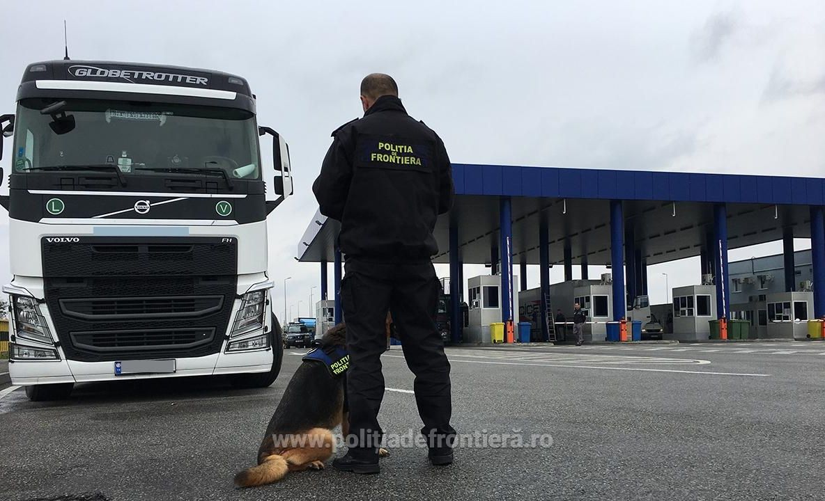 Controale dure la Punctul de Frontieră Giurgiu. Sunt monitorizate transporturile de animale vii