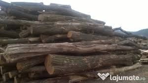 S-a ales cu dosar penal după ce a furat lemne de salcâm, de 300 de lei