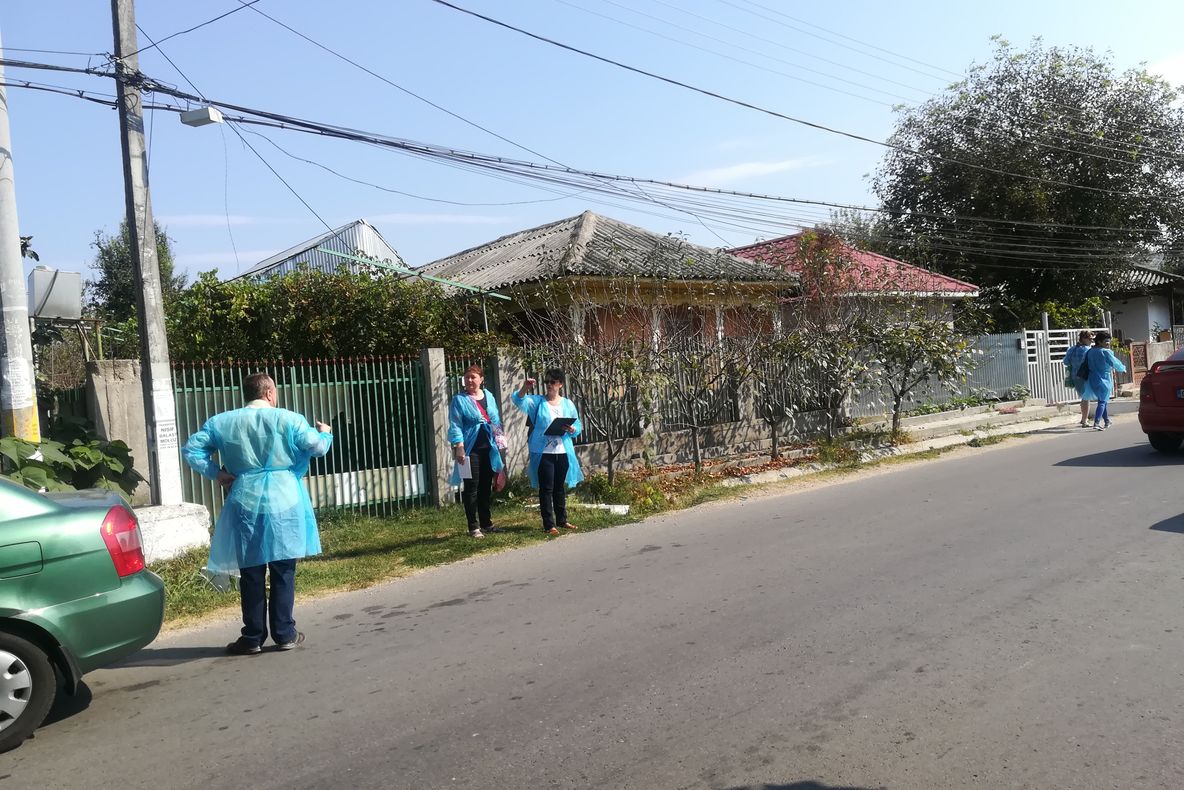 Giurgiu - județul unde autoritățile nu vor ucide porcii dacă nu sunt bolnavi