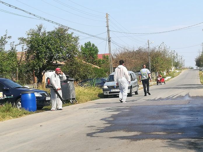Porcii de lângă focarul de pestă din Brăniștari nu sunt infectați
