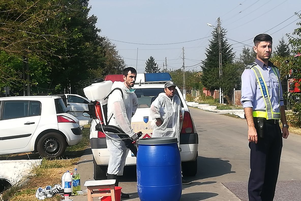 Satul Brăniștari - în carantină. În localitate a fost depistată pesta porcină