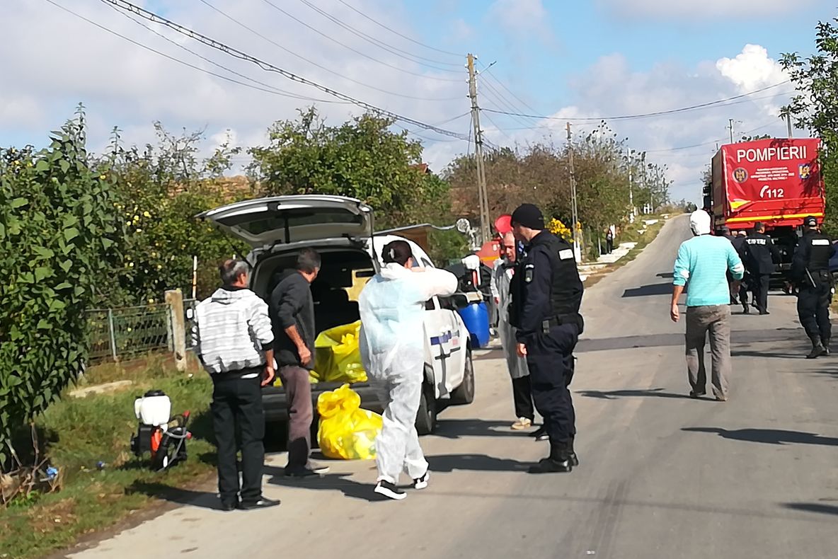 Focarele de pestă porcină, la final. Când se vor ridica filtrele și restricțiile