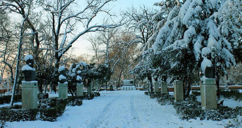 Giurgiu, sub atenționare meteo de ninsori, vânt, precipitații mixte și polei