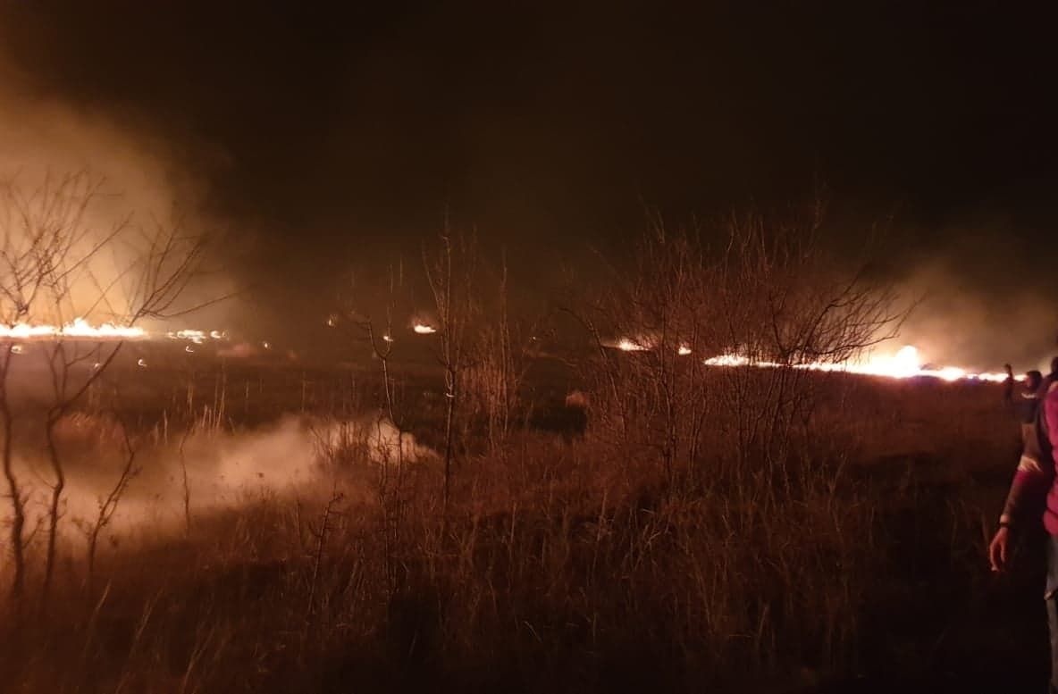 Incendiu violent în județul Giurgiu, la o fostă amenajare piscicolă  