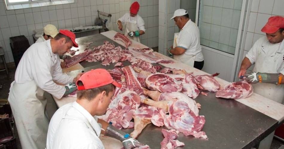 Germania caută măcelari, printre giurgiuveni. Salariul este de 2.100 de euro pe lună