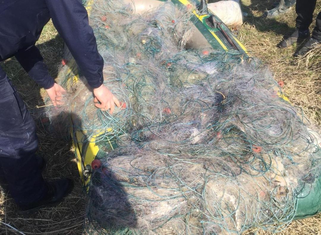 Jandamii asigură ordinea publică la meciul dintre Astra Giurgiu- Dunărea Călărași