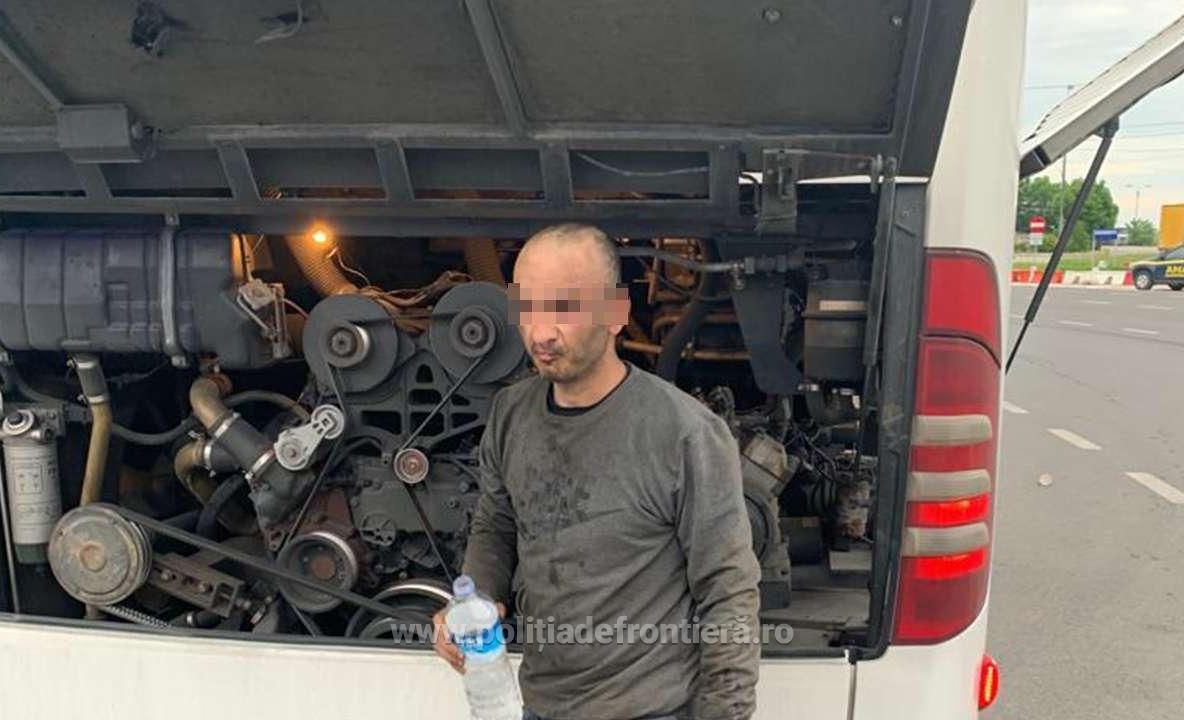 Sirian ascuns sub compartimentul motor al unui autocar, depistat la Punctul de Trecere a Frontierei Giurgiu