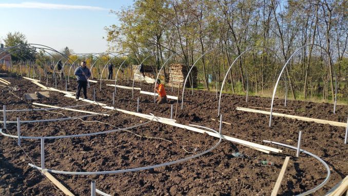 Fermierii giurgiuveni pot cere bani europeni pentru înfiinţarea grupurilor de producători