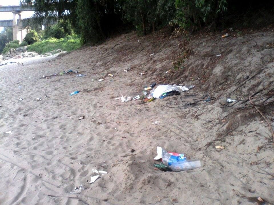 Ecologizare a malurilor Dunării, la Giurgiu, de ziua fluviului