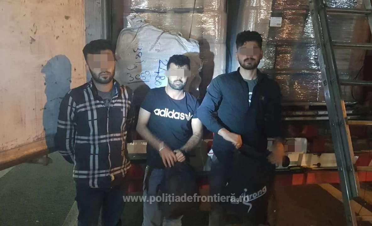 Trei irakieni, ascunși printre baloți de ață, găsiți într-un automarfar