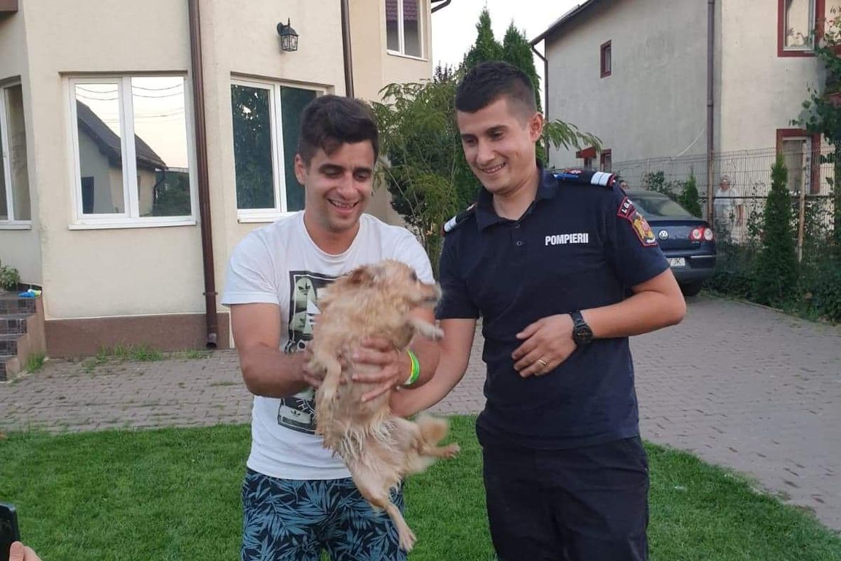 Cățel căzut într-o fosă septică, salvat de pompieri