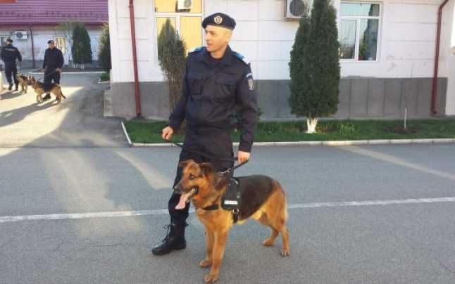 Pieton accidentat mortal pe DN5, la Călugăreni