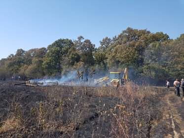 Pompieri din trei județe au intervenit la un incendiu de vegetație din vecinătatea unei păduri din județul Giurgiu