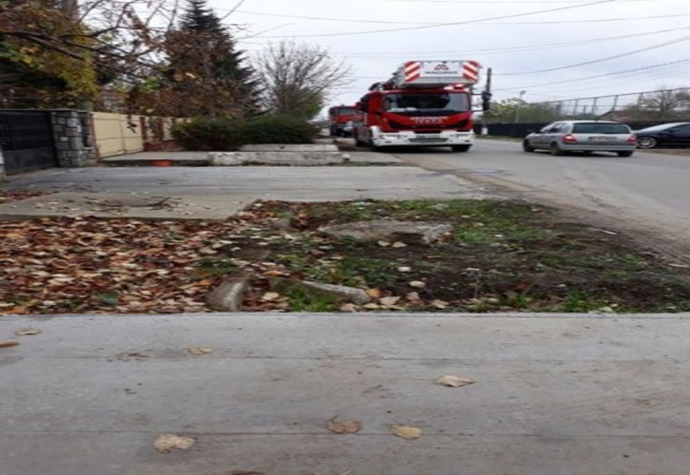 Bărbatul care a protestat urcându-se în vârful unui copac a renunțat. Vezi cu ce condiție