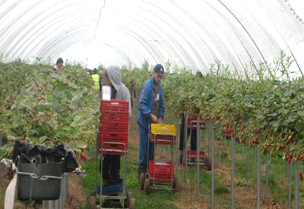 Raport: România a ajuns cel mai mare „exportator de angajați” în UE