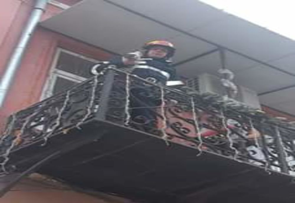 Pompierii au salvat o pisică de pe acoperișul unui balcon