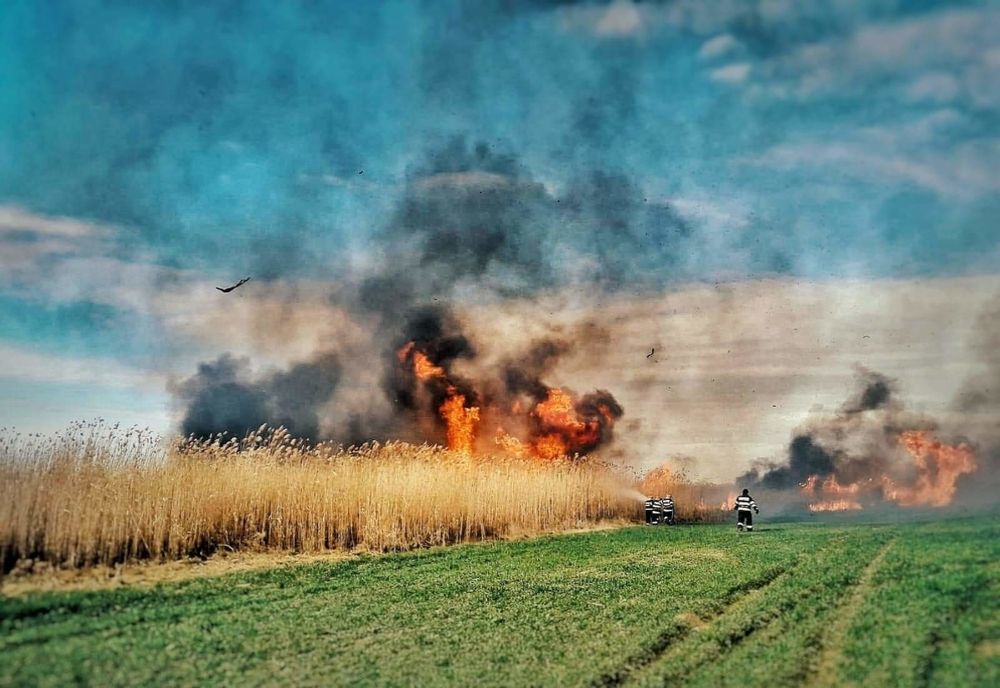 Incendii de vegetație uscată pe bandă rulantă. Unde au mai intervenit pompierii