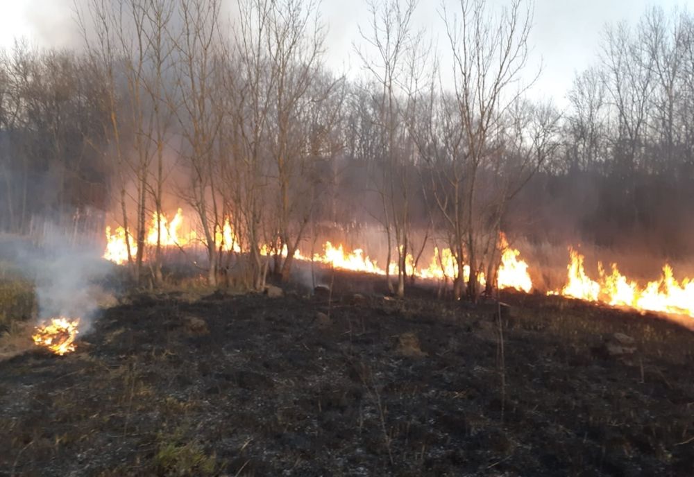 Pompierii giurgiuveni, în alertă! Incendiu de proporții în Ghimpați