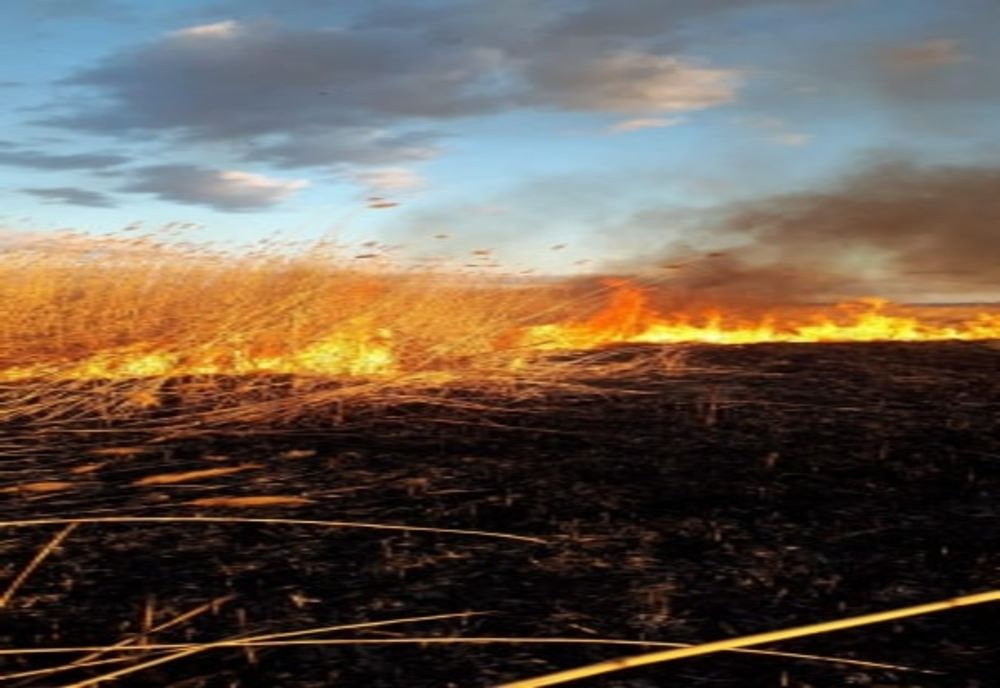 Incendii de vegetație uscată pe bandă rulantă. Unde au intervenit pompierii