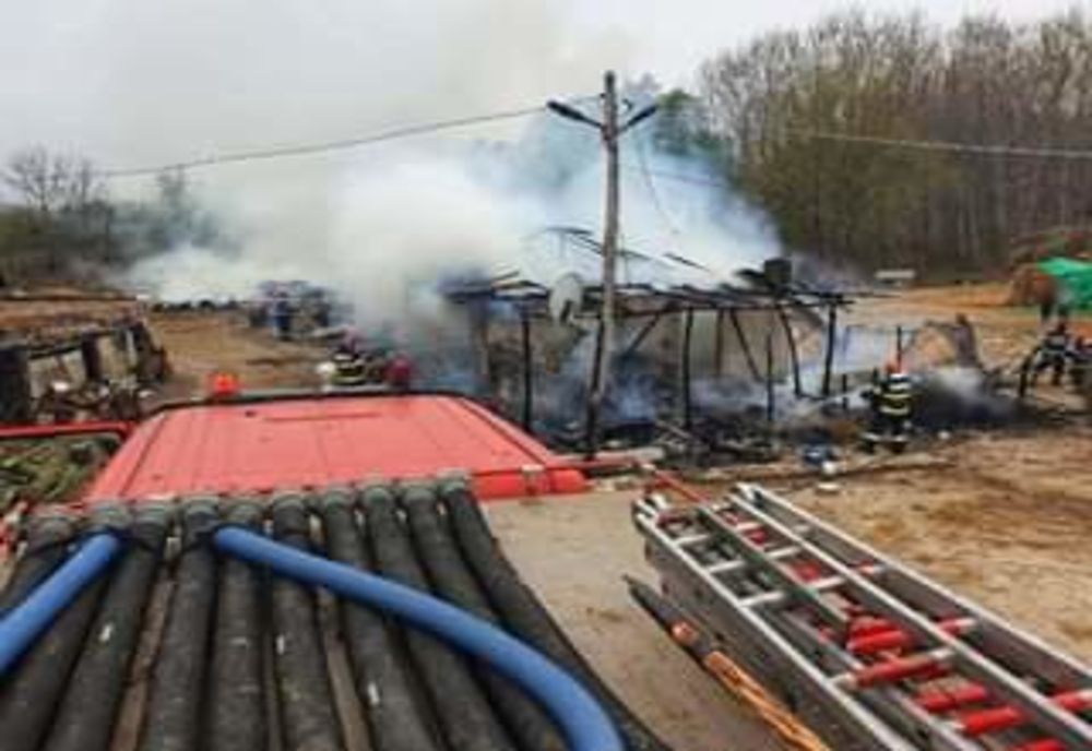 Incendiu la o stână. Trei bovine, găsite carbonizate