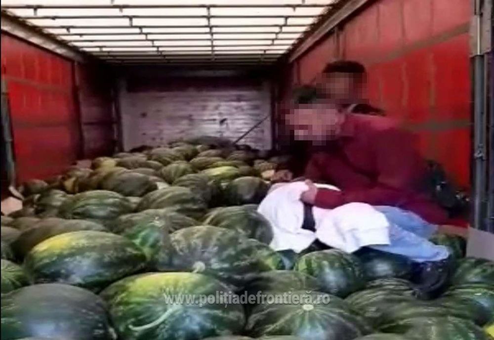 Doi cetăţeni din Pakistan, ascunși într-un camion    încărcat cu pepeni, depistaţi la P.T.F. Giurgiu 