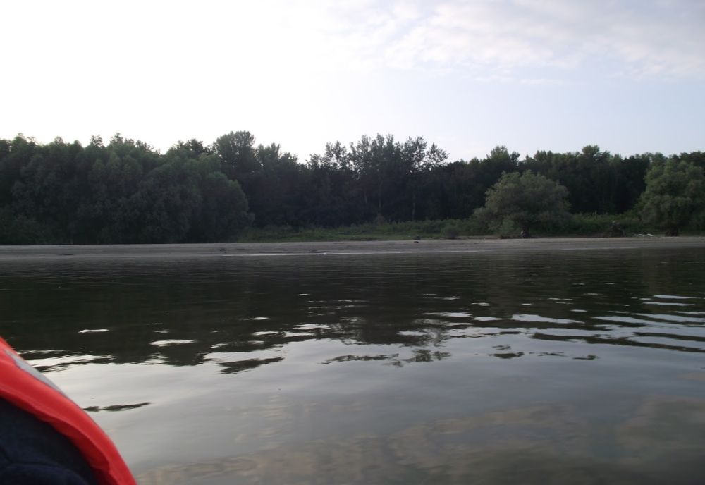 Un cadavru a fost găsit plutind pe Dunăre, între Oinacu și Gostinu